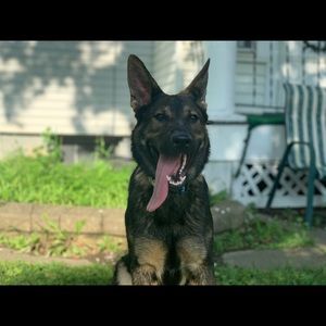 Meet your Posher, Thomas